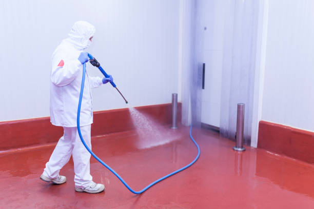 Best Graffiti Removal  in Lemmon, SD